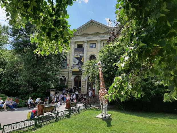 Antipa museum Bucharest
