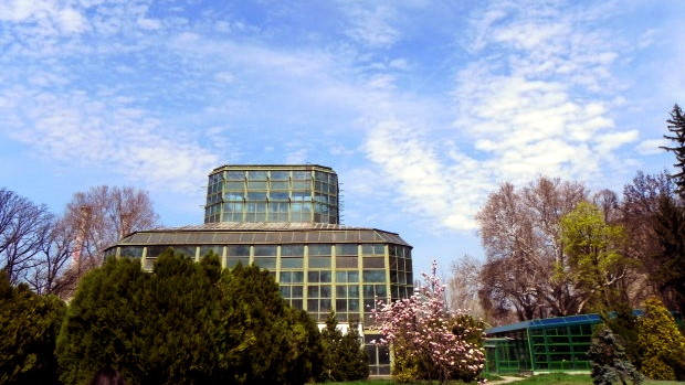 Bothanical garden Bucharest